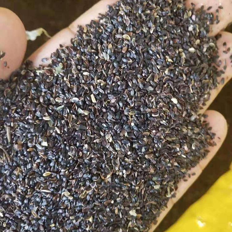 好种药材种苗 就选知母种苗种植 好打理收益高