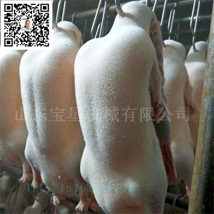 胶南 鸡鸭鹅屠宰流水线--鸡鸭鹅宰杀生产线
