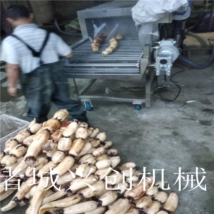 莲藕清洗机