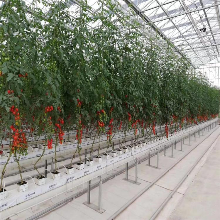 温室大棚养殖槽 瓜菜蔬菜无土栽培水培槽  欢迎咨询