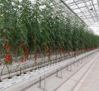 温室大棚养殖槽 瓜菜蔬菜无土栽培水培槽  欢迎咨询