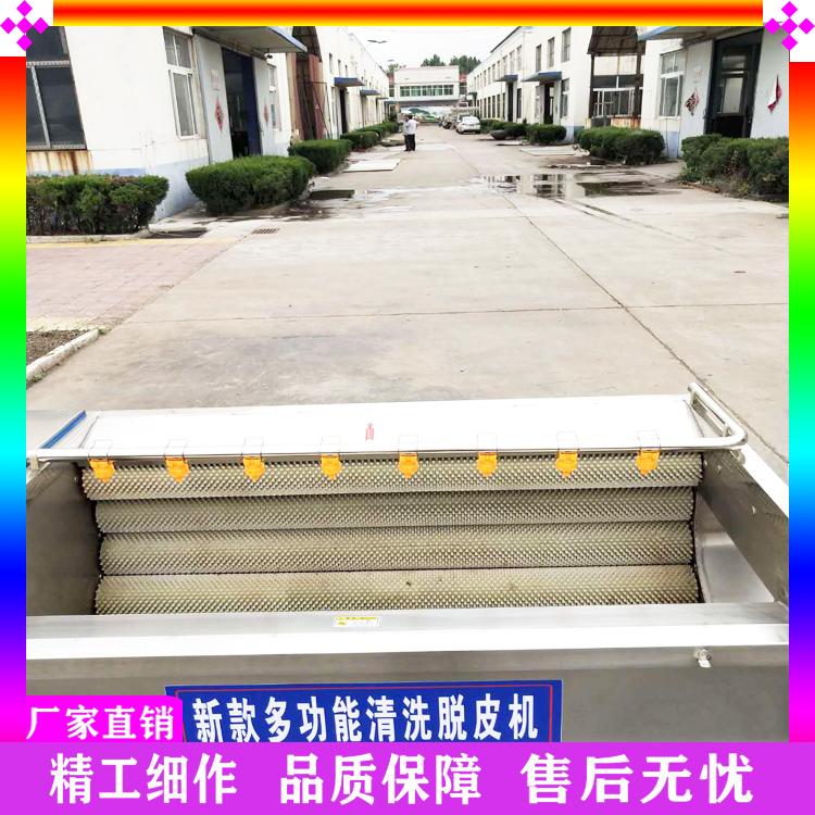 土豆去皮毛辊清洗机 专业生产去泥清洗设备 猪蹄毛刷清洗机 去杂质清洗设备