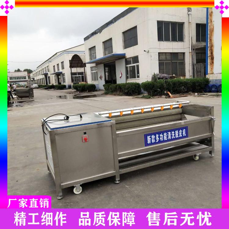定做花生清洗机 毛刷清洗去杂设备 洋葱毛辊清洗机 全自动去皮机生产厂家