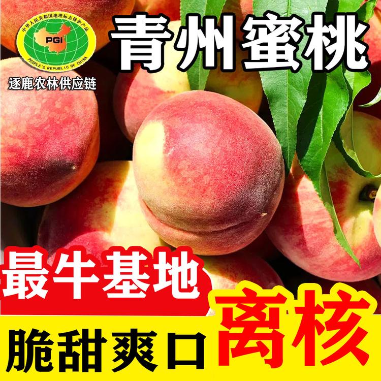 青州蜜桃 离核脆甜 产地直发 全国可发货 可电商一件代发