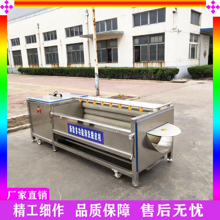 地瓜芋头脱皮去泥机 红薯土豆毛辊去皮清洗机 海蛎子贝类毛刷去泥去杂清洗机