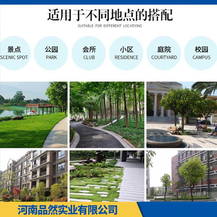 景区户外防腐木桌椅价格 户外防腐木桌椅厂家 厂家定制 款式多样