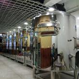 300升精酿啤酒设备 发酵罐 扎啤机