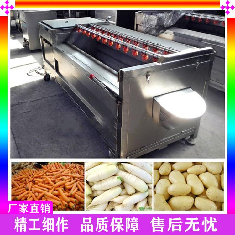 加工定制商用莲藕毛辊磨皮机 土豆大姜毛辊清洗机 胡萝卜去泥毛刷清洗机