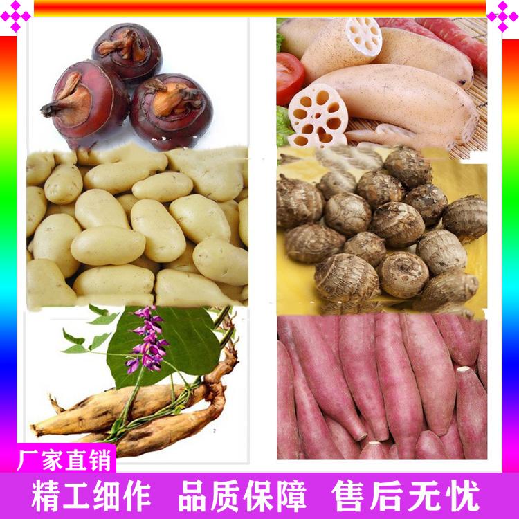 白萝卜螺旋毛辊清洗机 核桃毛刷清洗机 牛蒡土豆毛刷去皮清洗机 节能省水 厂家直销