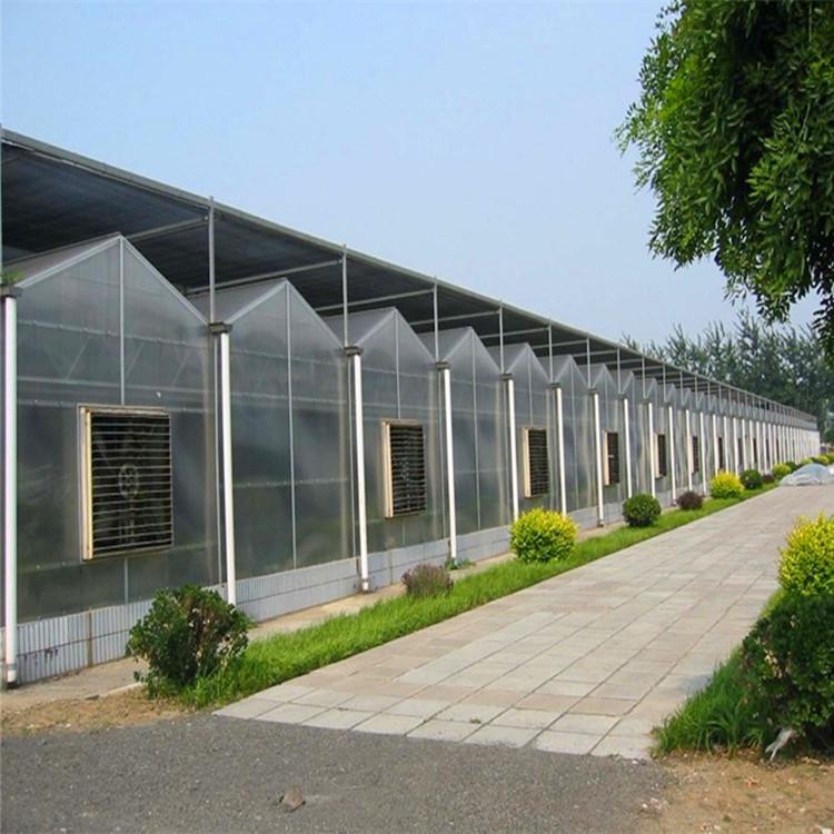 阳光板温室厂家建设 阳光板温室大棚