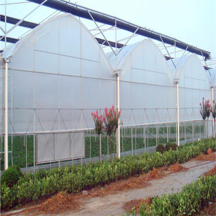 连栋薄膜温室大棚 温室大棚专业建设