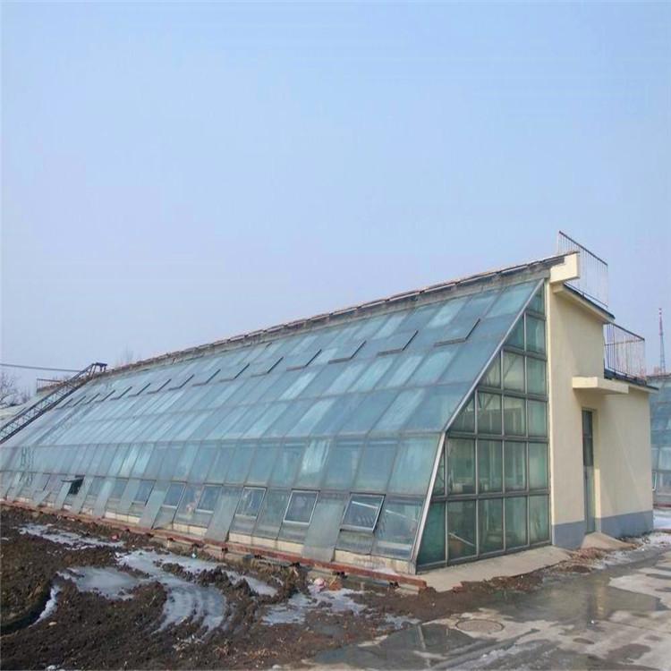 专业定制日光温室 蔬菜温室大棚
