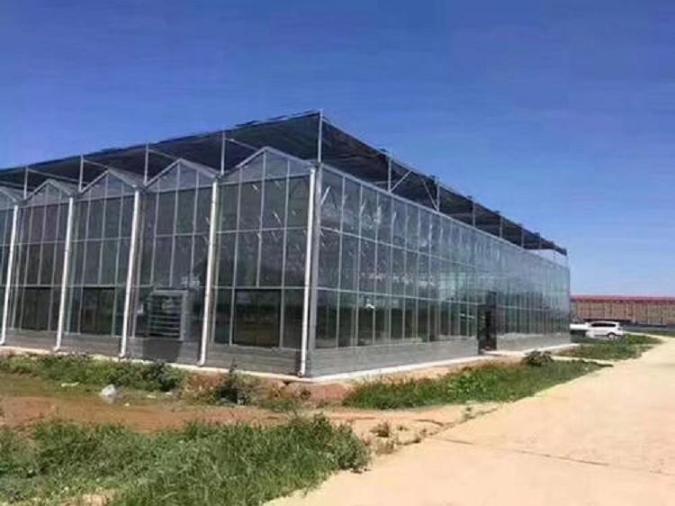 水果智能温室大棚  智能玻璃温室建设