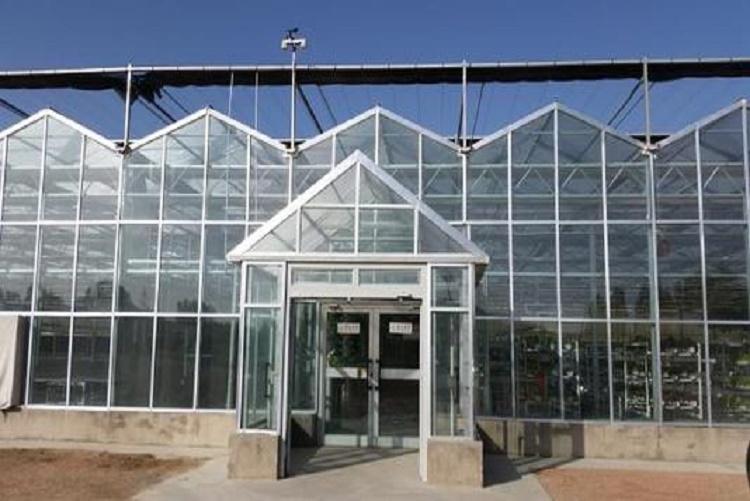 智能温室大棚 观光智能温室大棚建设施工