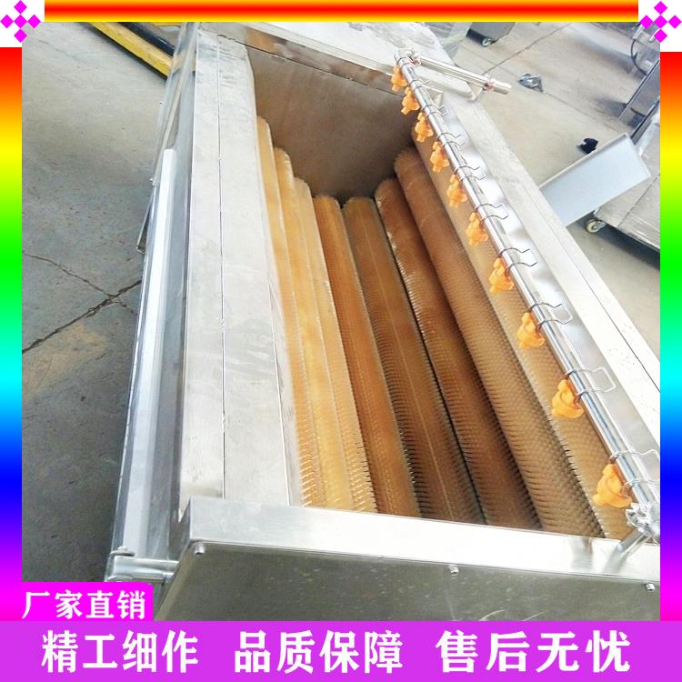 海鲜平行毛辊清洗机 连续式毛辊洗姜机 萝卜大枣核桃毛刷清洗机厂家直销