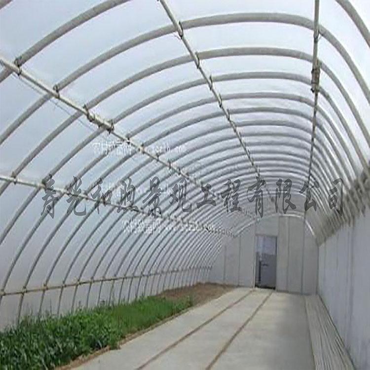 温室大棚 春秋温室大棚拱棚设计   温室大棚建造和煦