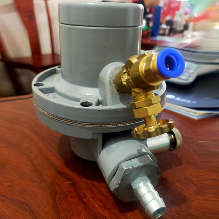 永广直销单项隔膜泵 隔膜泵规格型号 单项隔膜泵工作原理