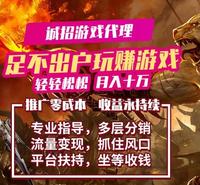 游戏代理  专人指导 全程无压力 省心省力