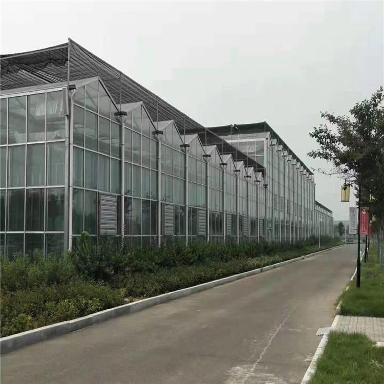 支持定制智能农业温室 玻璃温室 连栋薄膜温室 温室大棚工程