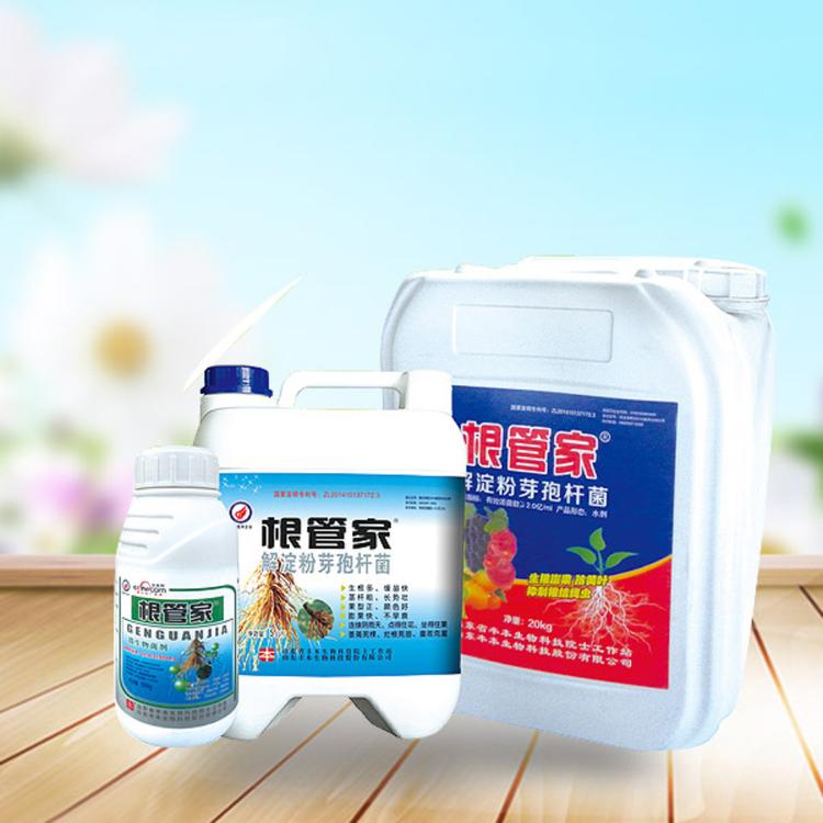 根管家销量好 根管家出售 大量供应