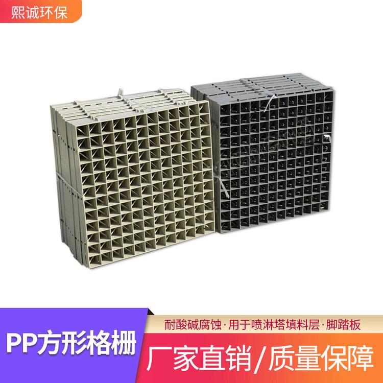 PP格栅板 塑料格网板喷淋塔废气塔格栅板PP填料塔格栅板