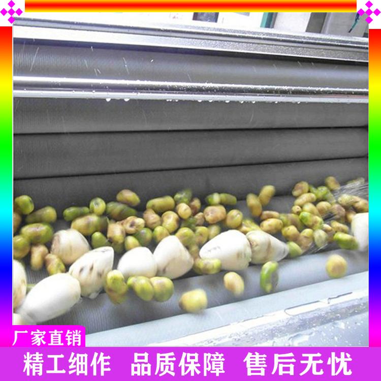全自动毛刷清洗机 土豆去皮毛辊机 大姜脱皮清洗机 胡萝卜清洗机器生产厂家