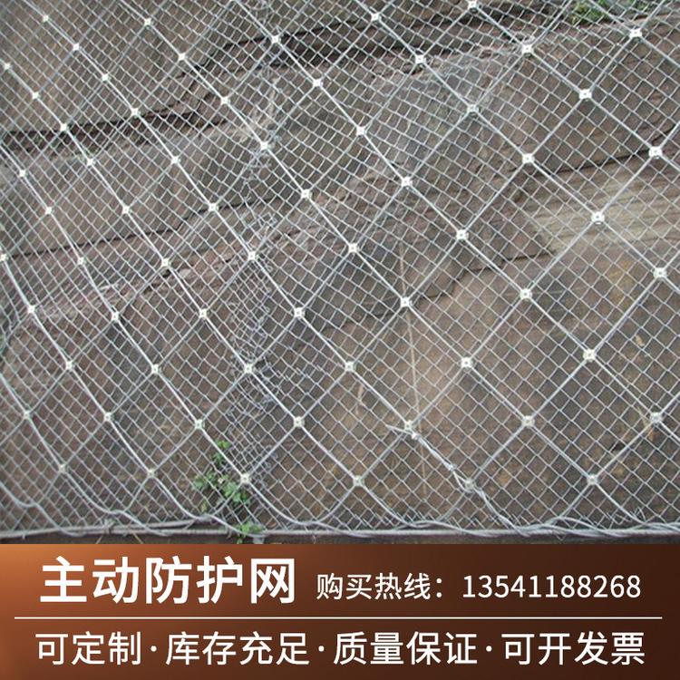 SNS主动防护网边坡防护网 主动边坡防护网 现货批发支持定制