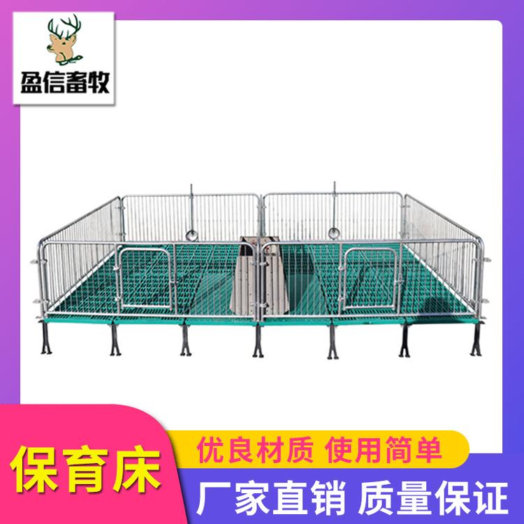 盈信畜牧   保育床价格  保育床批发