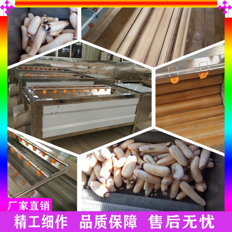 科力德大姜清洗去皮专用设备 土豆毛辊去皮清洗机 山芋地瓜莲藕清洗脱皮机