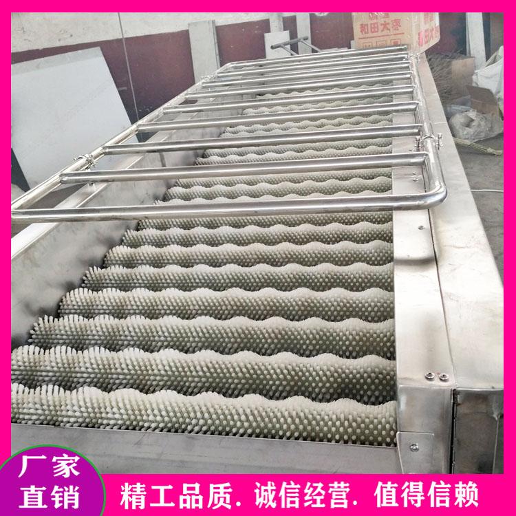 多功能毛辊清洗机 果蔬去泥机 马铃薯地瓜毛刷去皮机 海产品类去泥去杂清洗机