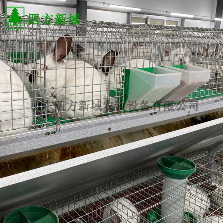 双层子母兔笼 欧式兔笼阶梯式兔笼 厂家直销长期供应兔笼具