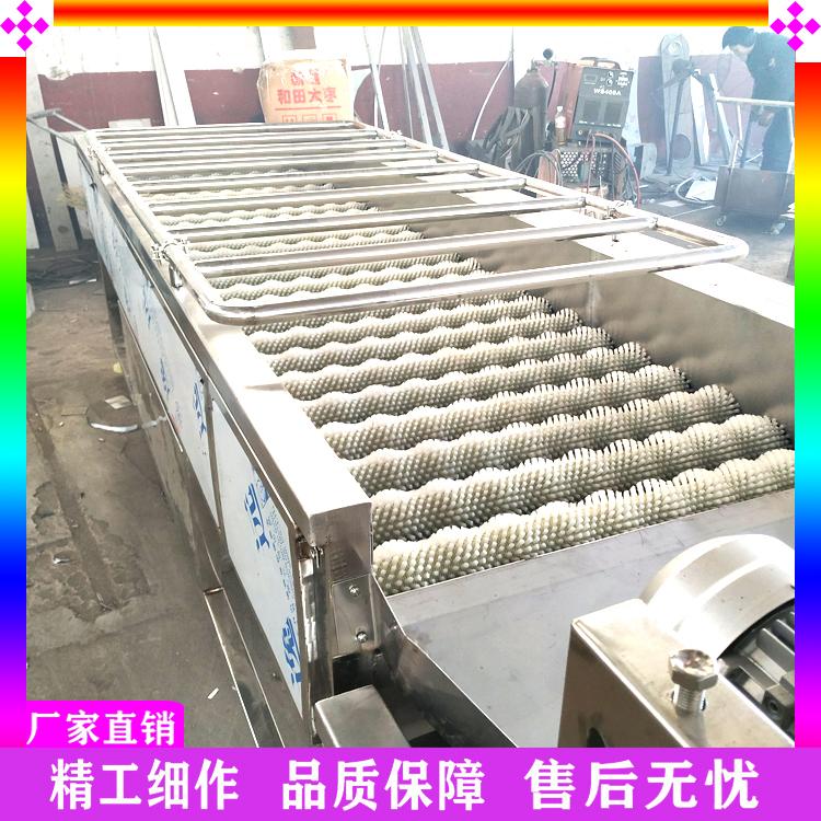 厂家直销莲藕荸荠去皮清洗机 葛根去皮清洗机 雪莲果毛辊清洗机 去泥污清洗机