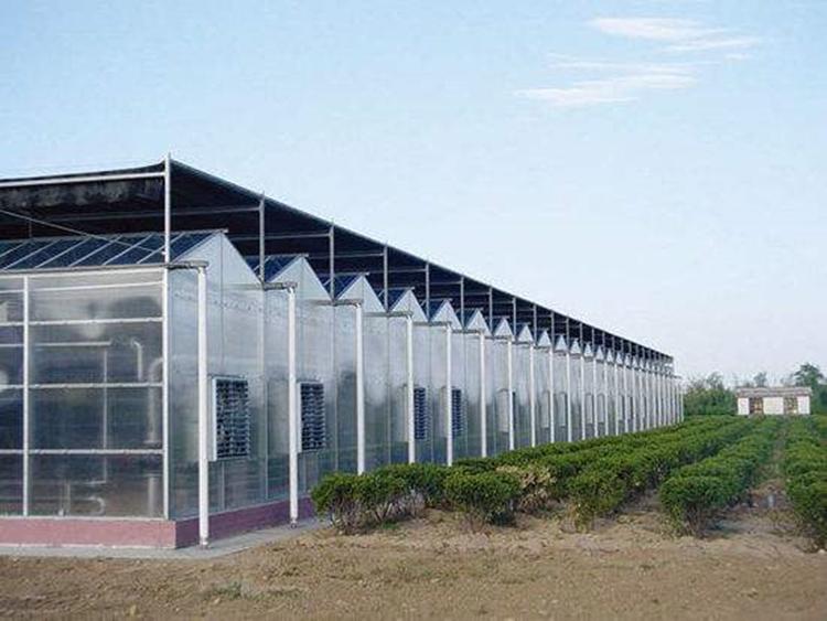 热销推荐拱形连栋薄膜温室 拱形连栋薄膜温室厂 拱形连栋薄膜温室直销