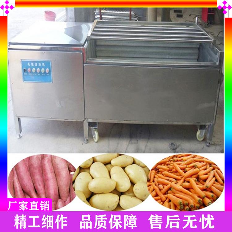 土豆红薯毛刷脱皮机 萝卜去泥污清洗设备 毛辊去皮去杂清洗机 不锈钢净菜加工设备