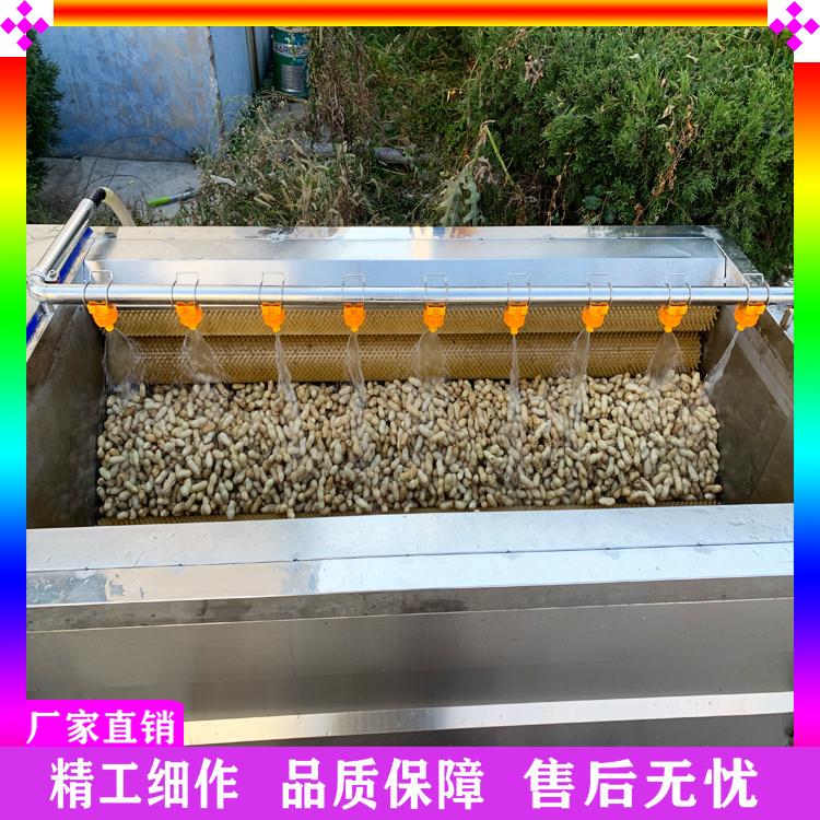 洋葱去皮清洗机 生姜磨皮清洗机 荸荠山药毛辊去皮清洗机 山药豆平行毛辊清洗机