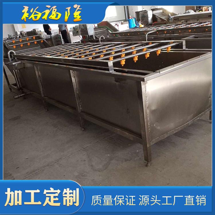 供应圣女果气泡清洗机 白菜鼓泡清洗机 厂家定制