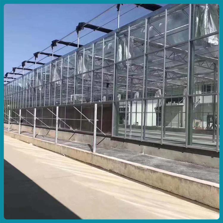 蔬菜玻璃温室 玻璃温室工程 玻璃温室厂家 多种供暖方式可选择
