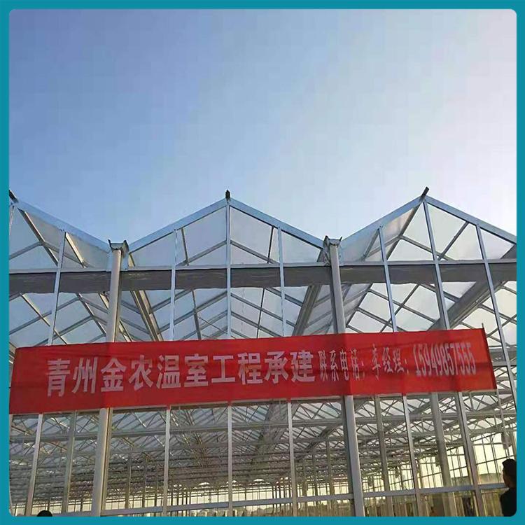 【金农】玻璃温室建设 玻璃温室大棚 透光性好哦