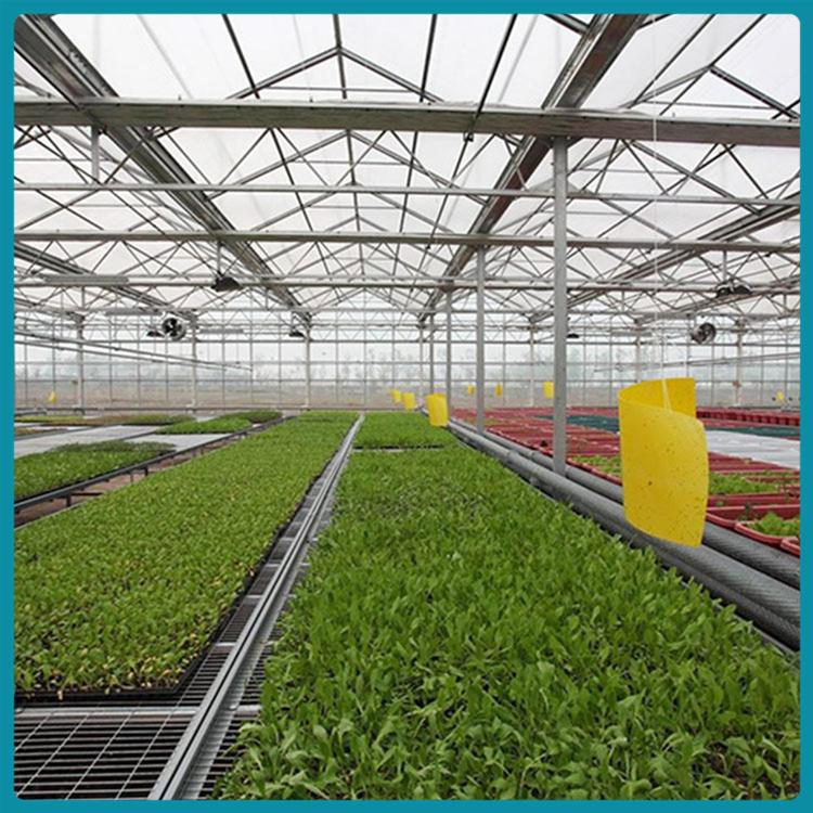 温室种植大棚 玻璃温室工程 玻璃温室厂家 厂家为您实地测量