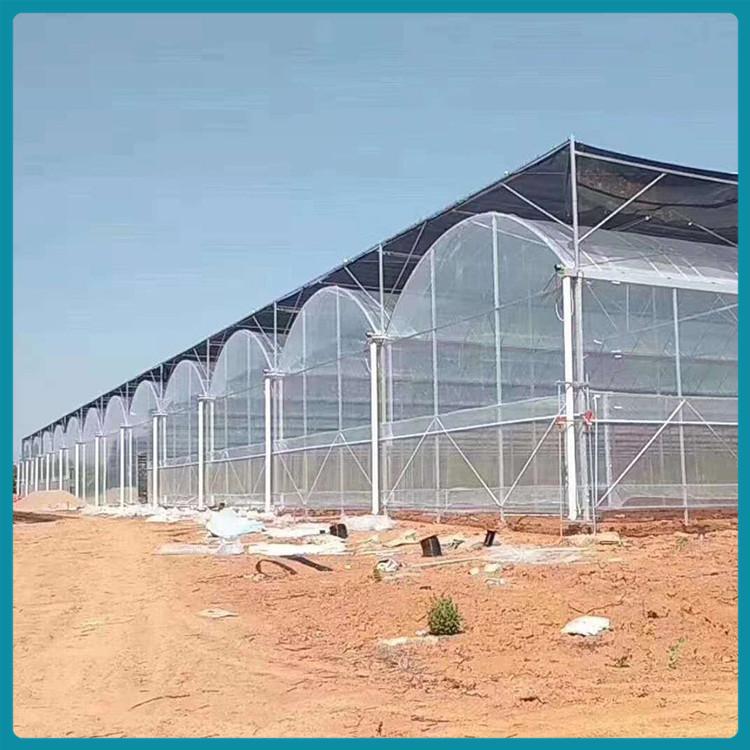 薄膜连栋温室 经济型温室 温室大棚 连栋薄膜温室建设