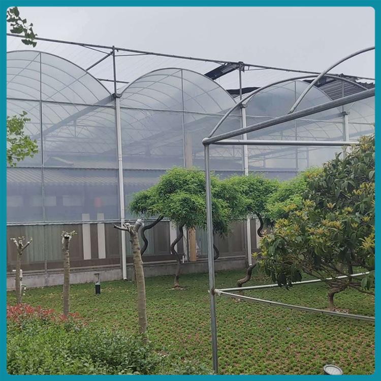 连栋薄膜温室建造 种植大棚 薄膜连栋温室 保温性能好