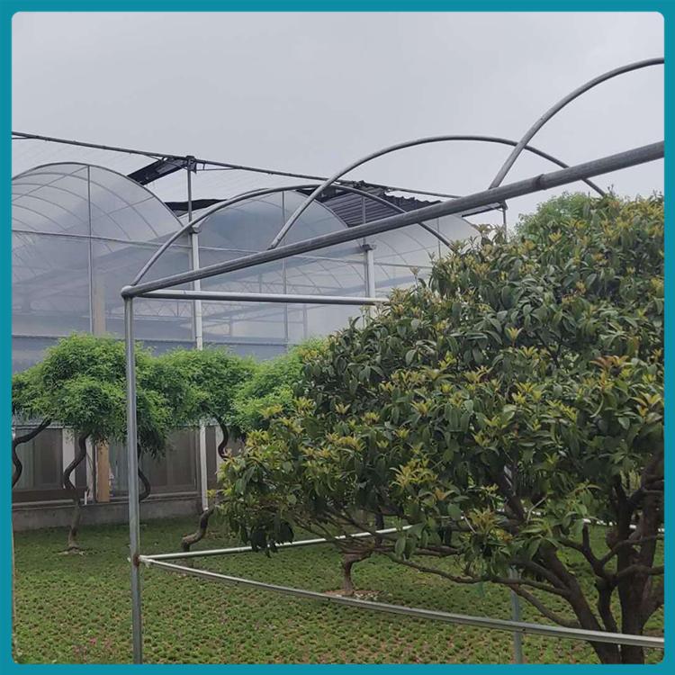 连栋薄膜温室建造 养殖大棚 连栋薄膜温室 保温性能好