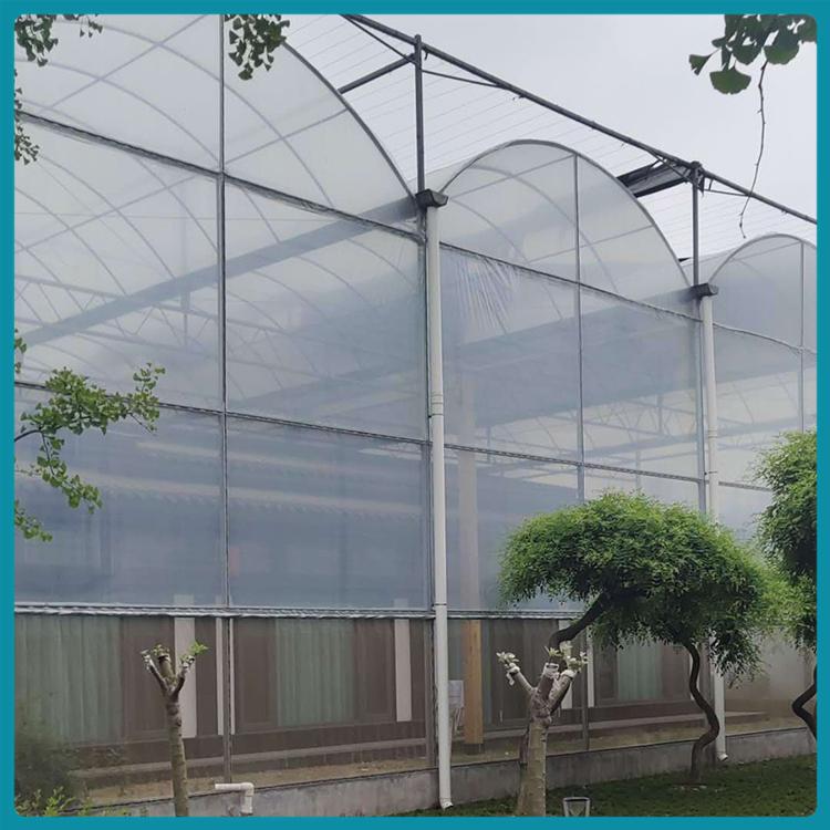 连栋薄膜温室承建商 养殖大棚 薄膜温室 保温性能好