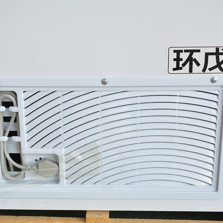 节能卧式冷柜豪华卧式冰柜冷藏冷冻冰柜家用冷柜定制
