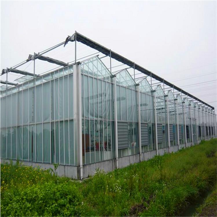 阳光板温室大棚承建 专业问你是大棚建设