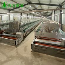 欧式兔笼 母兔笼 繁殖兔笼 厂家直销供应 湿帘调温自主供水笼具