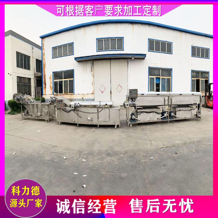 生产供应冲浪喷淋气泡清洗机 商用长裙竹荪清洗机 蘑菇深加工设备厂家 果蔬清洗流水线