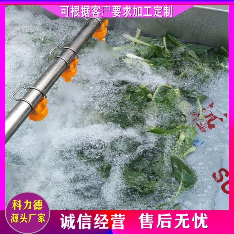 宁夏枸杞气泡清洗机 蒲公英婆婆丁清洗机 净菜加工流水线 气泡喷淋清洗 节能环保省时省力省人工