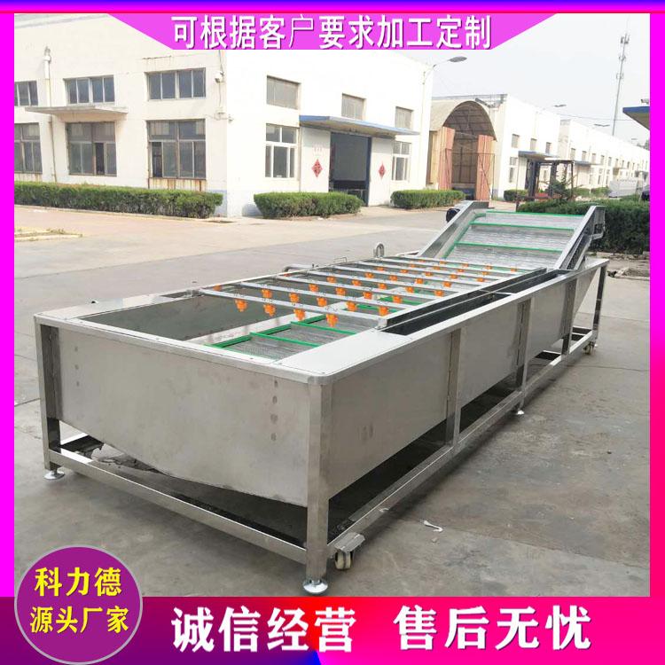 厂家直销全自动蕨菜荠菜高压喷淋清洗机 蔬菜气泡清洗机 运行平稳 小型山野菜加工设备