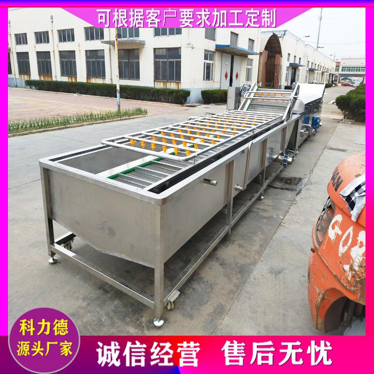 山野菜去泥清洗机 毛山药气泡清洗机 多功能橄榄菜蕨菜清洗设备厂家